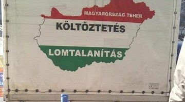 434641479_1737718616638035_5536617546342666016_n