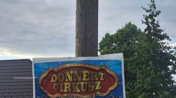 438161187_856070012998533_1143830737539364456_n