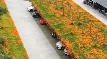 438197285_838447528310210_7006645176466168405_n