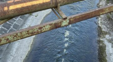 438242023_10229420836017729_22895048502576844_n