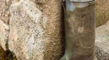 439941199_401739372822521_4197893978482135972_n