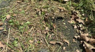 440577653_1762745894210501_6319845783428204602_n