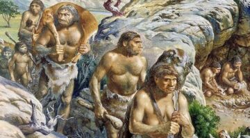 Archaeologists have suggested that Stone Age people sometimes ate one another for nutritional reasons. But a new study suggests that from a calorie perspective, hunting and eating other humans wasn't efficient.