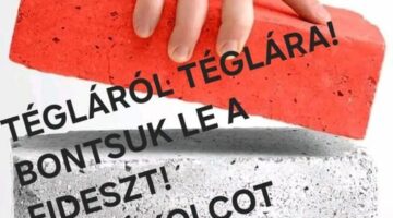 441745508_1645647076180155_231441872180519835_n