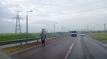 448662864_7866705216751670_8952077133677641266_n