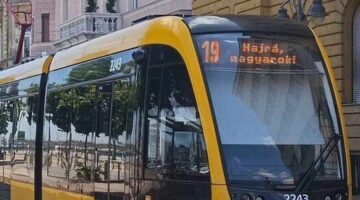 448758445_425697150463194_6516671496061521309_n