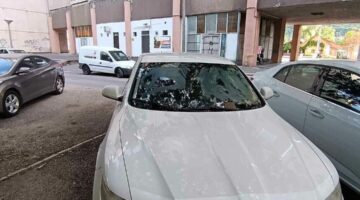 450347732_10219534606634394_7754295319404489219_n