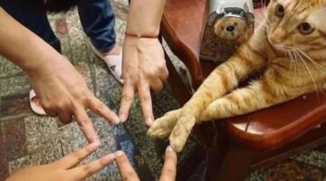 451186457_457721830483770_2640942399563074779_n