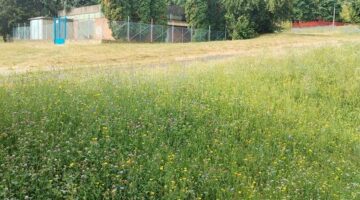 451701920_909550321186431_1007789226835883835_n