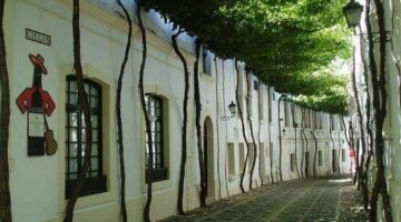 457661453_496211786469950_7973714121401579269_n