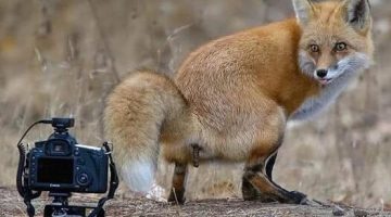 458281082_489656440344360_3908700130836509141_n