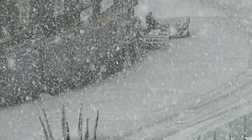 458951420_513678167924218_4314479882886799676_n