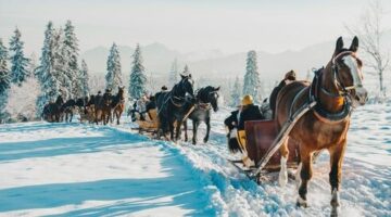 459472039_923297619823703_1129932122158005915_n