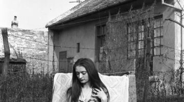 459624272_548446094215748_7029793821726906183_n