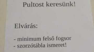 459644440_2255590764786549_7088384408786291071_n