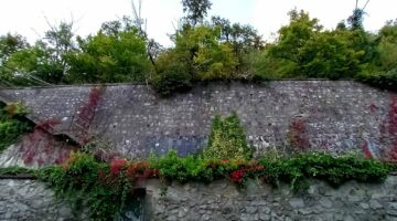 460624497_1274512617251642_2622324231548904060_n