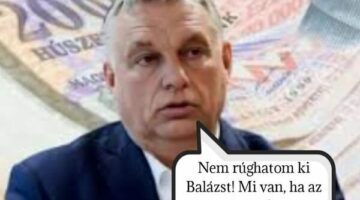 461591545_385220267986104_555006941403841135_n