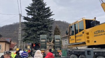 462550388_1084452936642866_325178249038956406_n