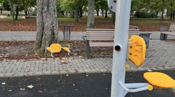 462556838_868045905443022_5059277772064460611_n (1)