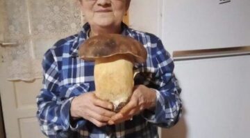 462853744_1193791918369578_1096492193525732355_n