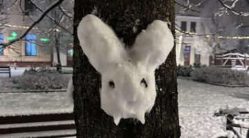 471485282_2283644042004090_461609114385150782_n