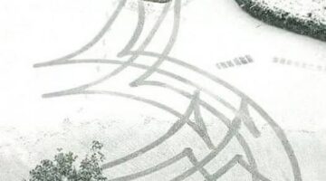 472675223_1242335890188254_8638245082663712296_n