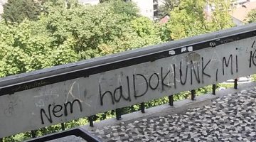 473408168 598590119601977 8598295597447629129 n