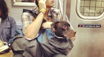 473573814_122208451112060323_97349694625944133_n