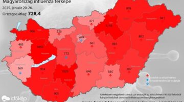 475380107_1037040338451235_2661191435852878307_n