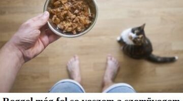 475808763_9525244937510383_5753733812051454765_n