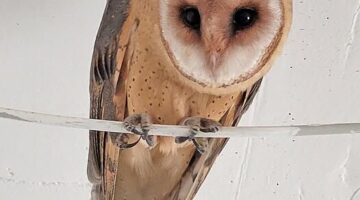 475958518_938547475133567_482501395960139165_n