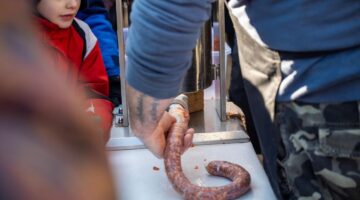 480241901_1239988447495729_6932679905793206271_n