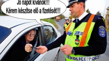 480904_397797696938040_100001234381377_1223883_754457434_n