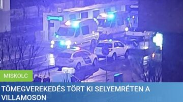 483369460_1186247630168232_9069976336862510533_n