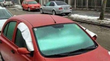 48388233_2165606320163654_6754348041651617792_n