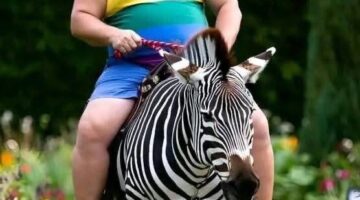 484291202_9301753819903575_3841194278730129573_n