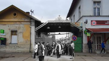 486655047 1219134660222200 9113422945308377676 n