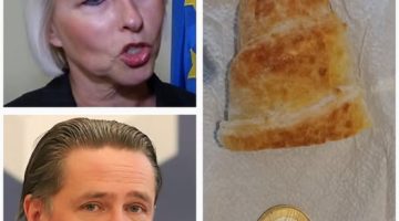 487128254_1206890190792819_2014147439986381538_n