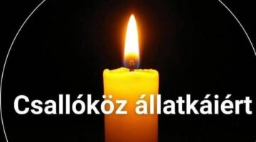 487131011_1810277066371513_8817471389252267096_n