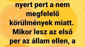 489624635 2926552610855995 5454035646522857090 n