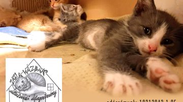 492447041_9700939826610092_8353466337329885582_n