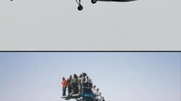 497654676_1255679009900863_6845726835875504753_n