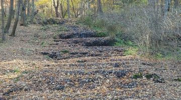 4b19f962 1f40 4074 b7b0 cbc09f360cdb