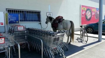 500109249 1068014845485517 578407320577625173 n