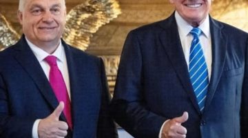 506638003 1263983278421475 9050139319535378152 n