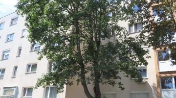 515489736 4227594834131112 5628138504198778869 n