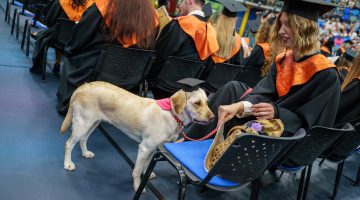 516011043 1284475003683175 8007565764891718102 n