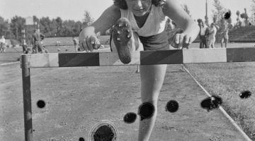 516213873 3980931152168814 7342412440103290092 n