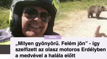 516437665 1150281250466954 6824185528188885552 n