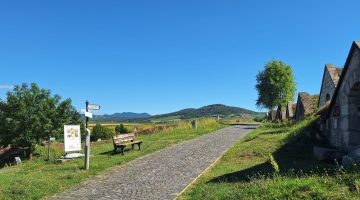 518345002 24582970757953600 9062473951319903496 n